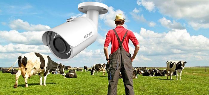 Камеры видеонаблюдения в фермерском хозяйстве